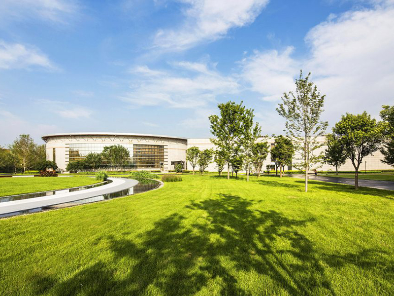 園區(qū)廠區(qū)工廠公司園林綠化苗木品種 園區(qū)廠區(qū)工廠公司園林綠化苗木品種